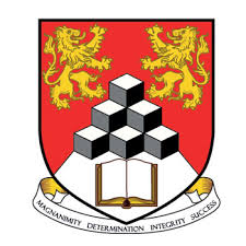 Management Development Institute of Singapore logo