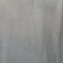 Mridula Chelkar
