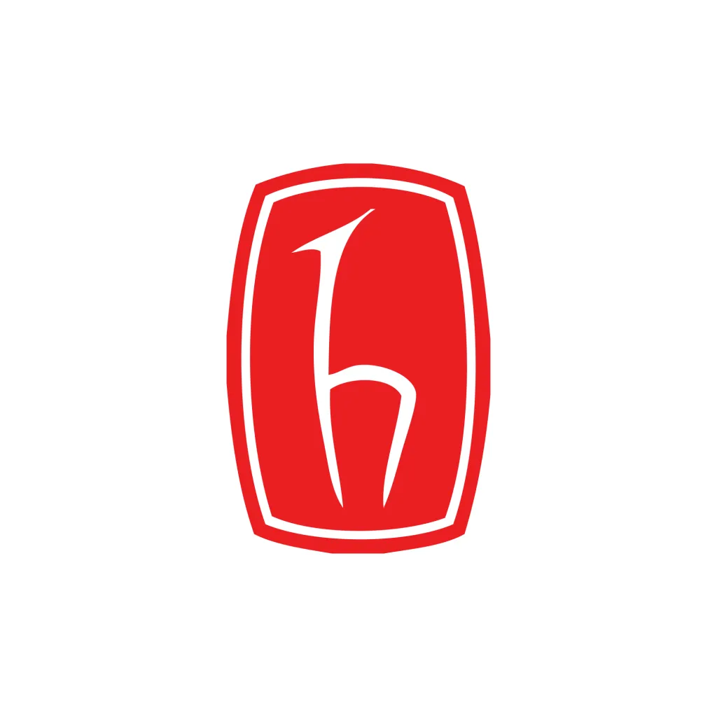 Hacettepe University logo