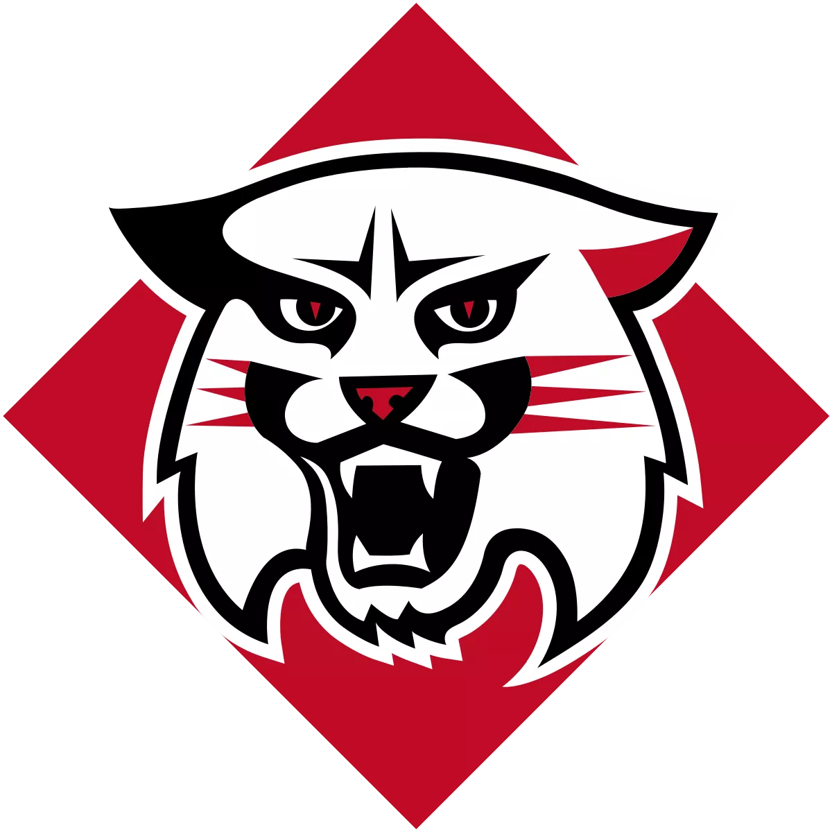 Davidson College logo