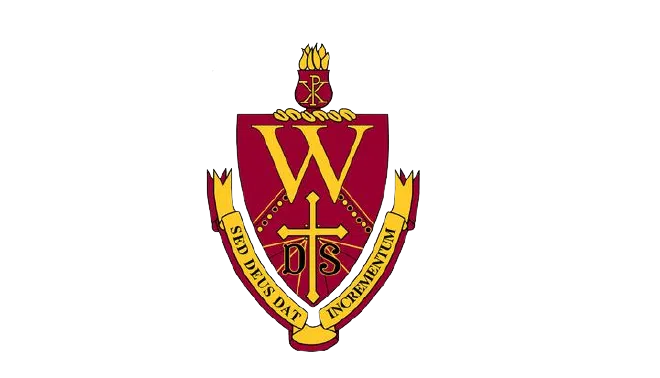 Programs And Courses Offered Walsh University Ymgrad
