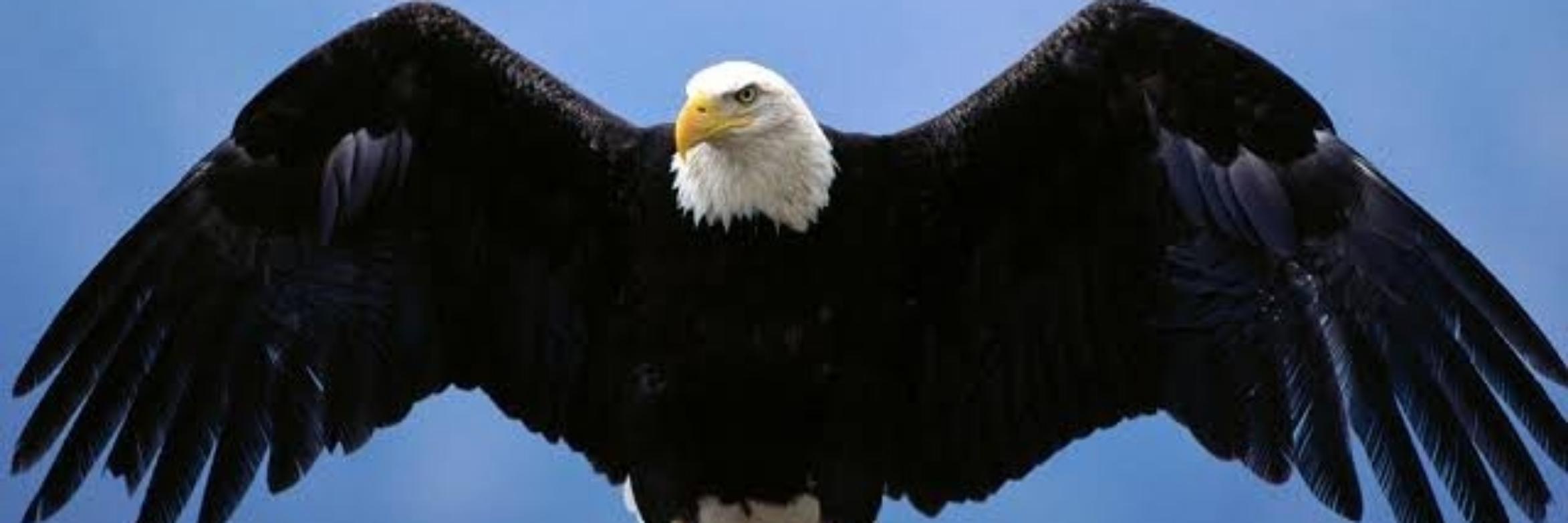 Deepak's cover photo