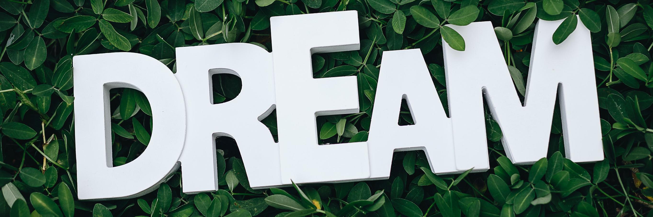 Tariqul's cover photo