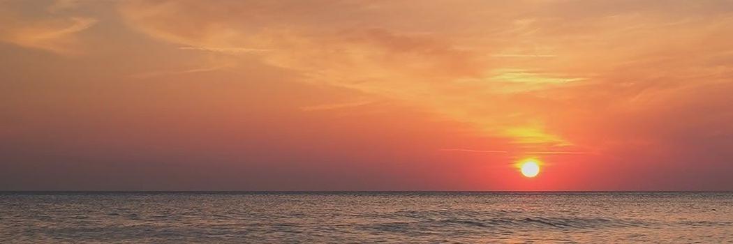 Revati's cover photo