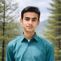 Muhammad Ayan Naseer Ch
