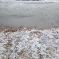 Srinath Chowdary Alla