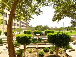 Helwan University