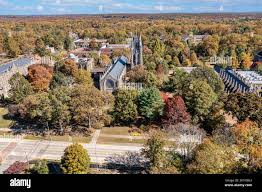 The University of the South