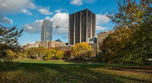 Mount Sinai School of Medicine