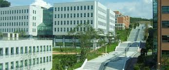 Dankook University
