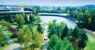 Lakehead University