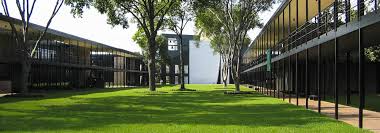 University of St. Thomas (TX)