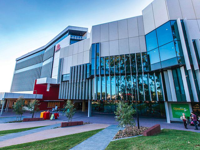 Griffith University