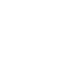 Professional Quality Icon
