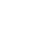 Plagiarism-Free Icon