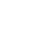 Button Icon